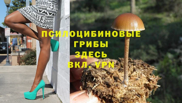 шишки Каменск-Шахтинский