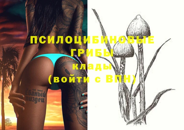 круглые Иннополис