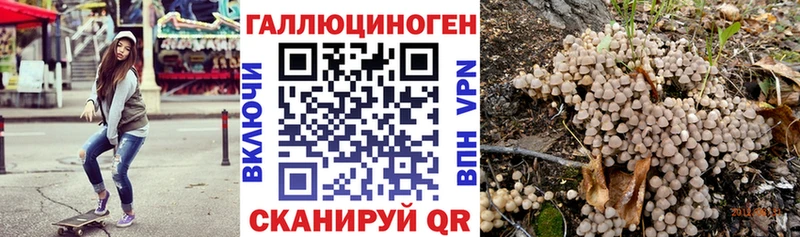 закладки  Валдай  Галлюциногенные грибы прущие грибы 